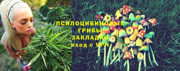 СК Арсеньев