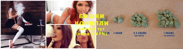 дживик Аркадак